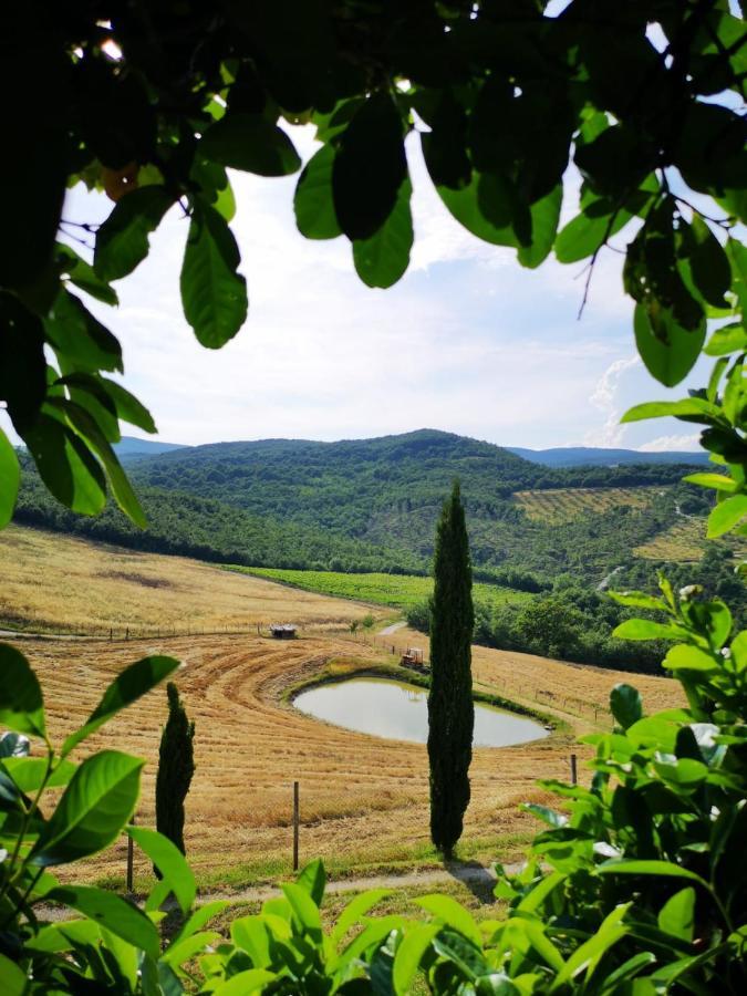 Agriturismo Selvella Allerona Exteriör bild