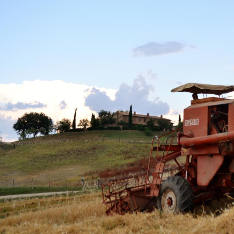 Agriturismo Selvella Allerona Exteriör bild